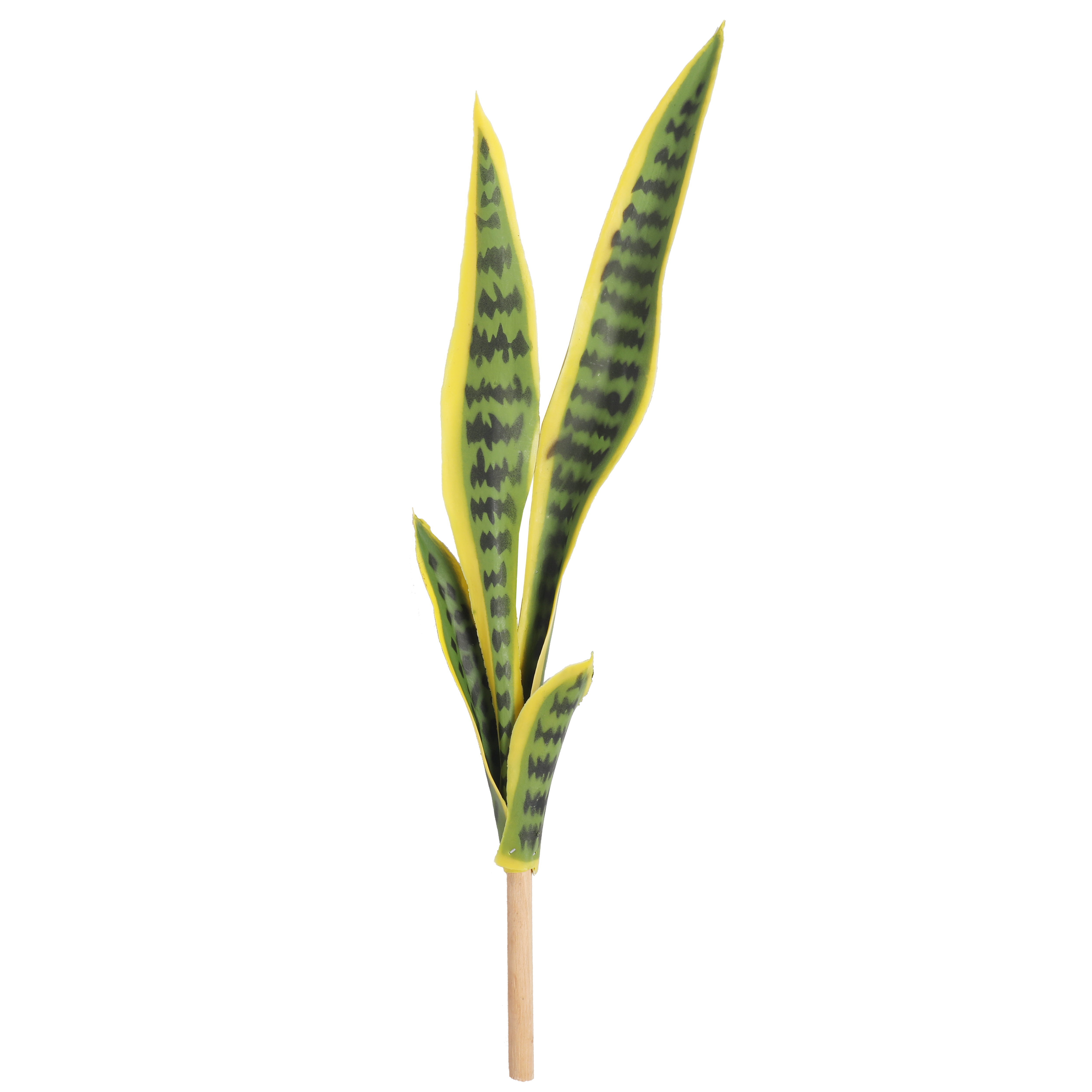 Sus hojas largas y verticales con patrones únicos aportan una elegancia moderna y minimalista a cualquier espacio.

 

 
