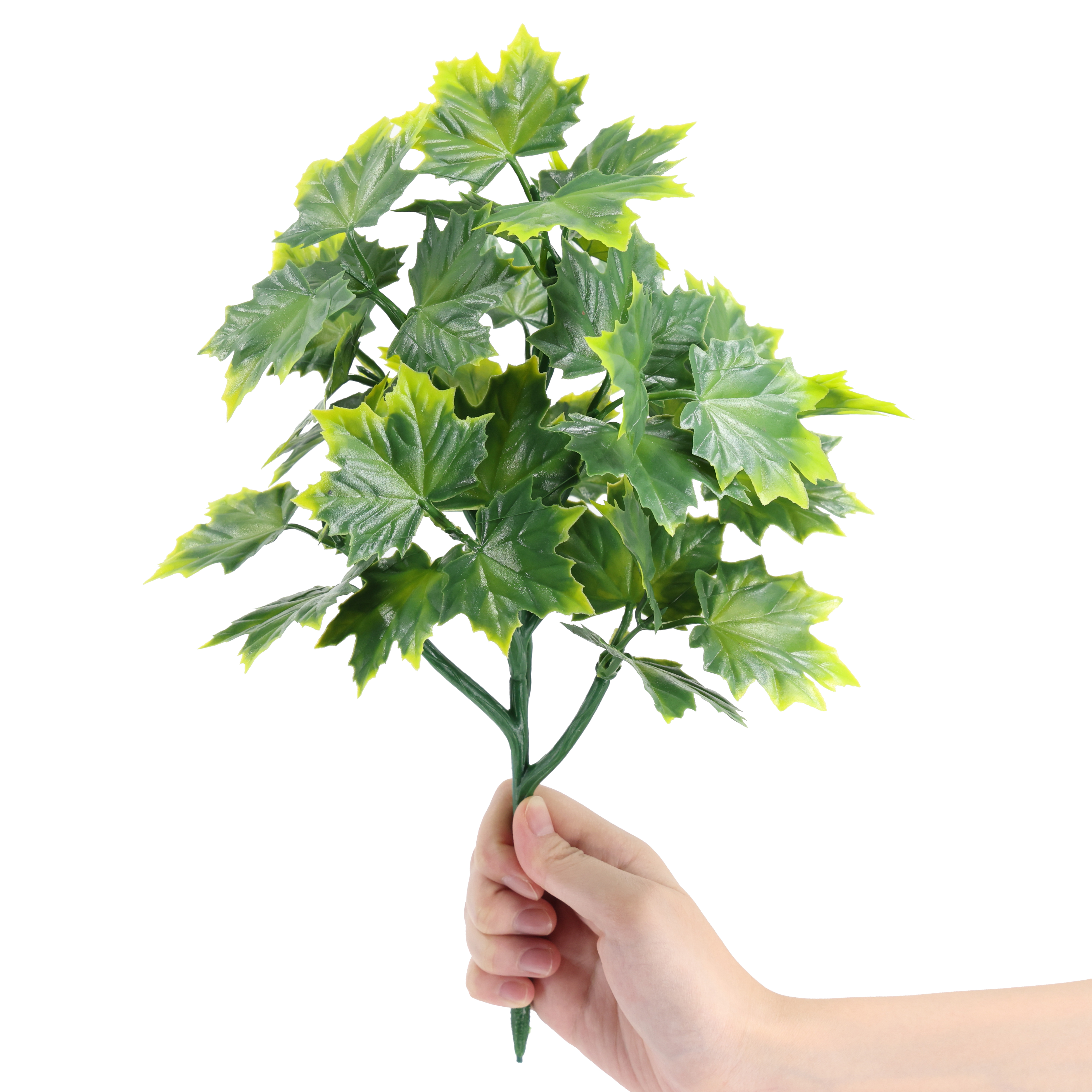 Captura la esencia de la primavera con esta hoja de arce verde. Su distintiva forma palmeada con venas delicadas y un borde dentado la convierten en una pieza perfecta de la naturaleza.

* Realismo Visual y Aspecto Natural. 

* Medida: 

*Resistente a cualquier tipo de clima y estacion del año

*Materiales Eco Friendly - Pueden ser recicladas

*Sin mantenimiento - De facil limpieza


 

