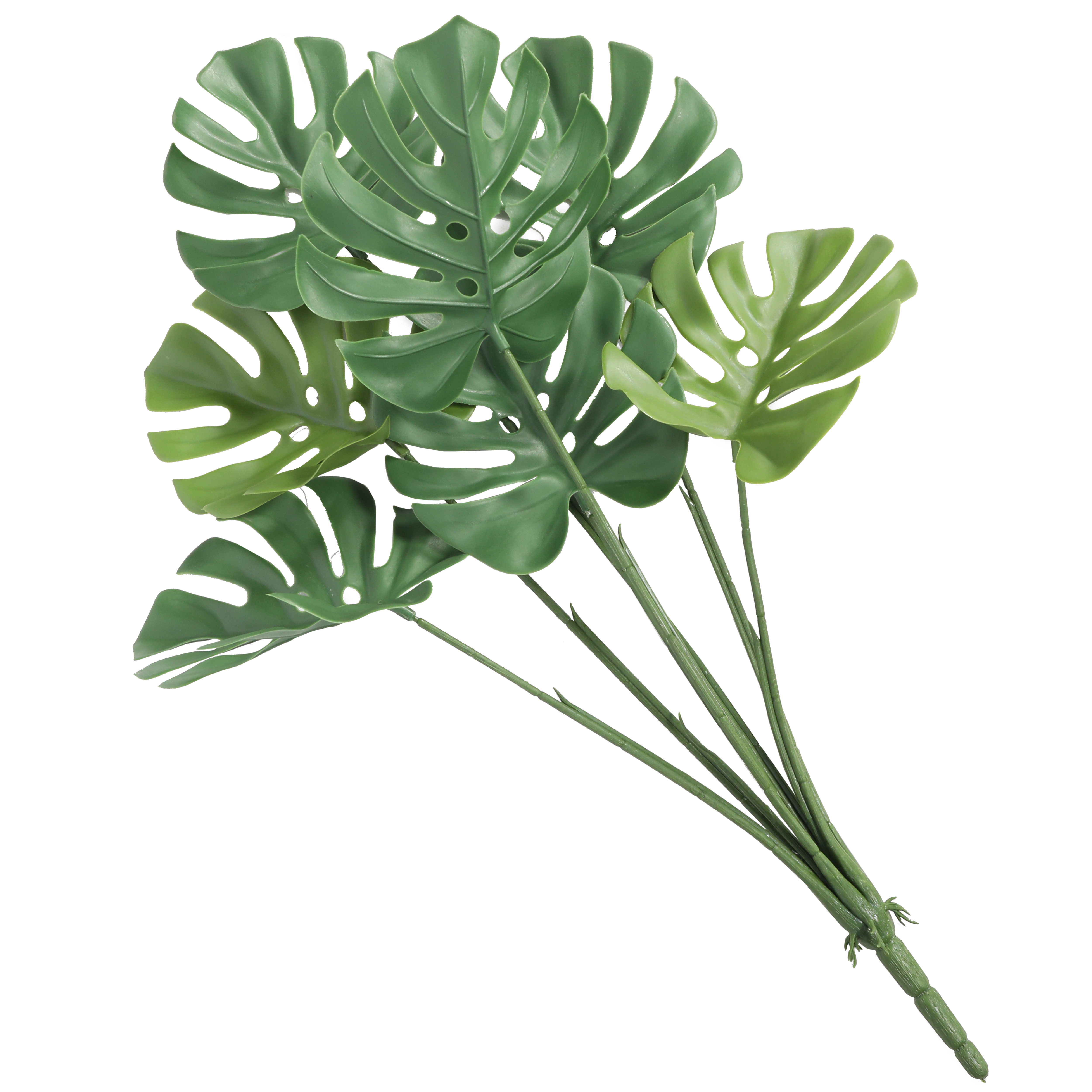 Las plantas de Monstera también conocida como planta de Adán crecen hacia adentro y hacia afuera, creando un ambiente de selva tropical. Trae hojas de tamaño inusual con agujeros naturales.
La Monstera se ha convertido en la reina del interiorismo vegetal.


Tamaño: 0.63 cm
Uso: Indoors/Outdoors
Realismo visual, aspecto natural
Materiales eco-friendly, puede ser reciclado.

Sin mantenimiento, fácil de limpiar
