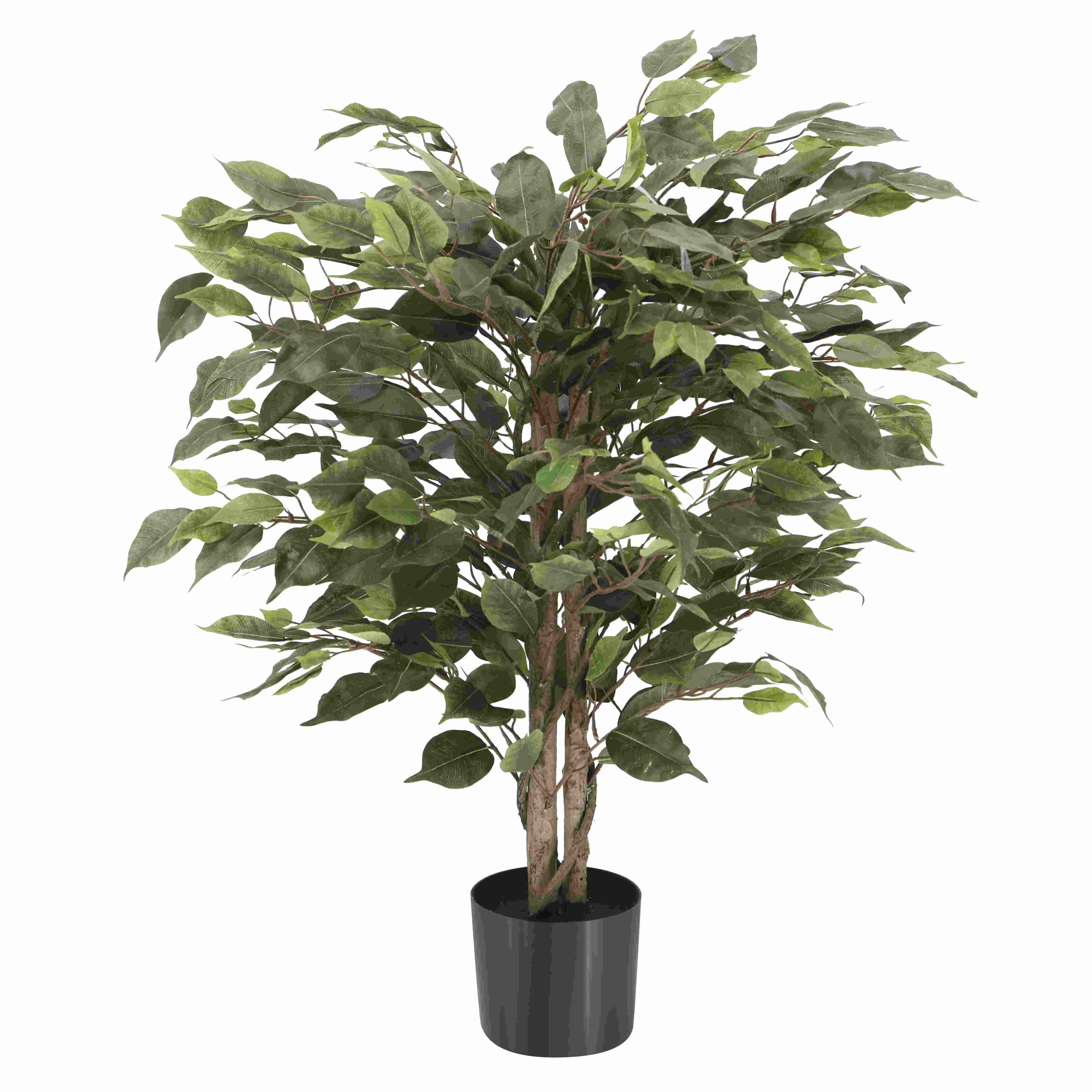 Ficus Artificial 90cm - Follaje Realista con Protección UV

Naturaleza eterna, incluso bajo el sol. Nuestro Ficus artificial de 90 cm combina la elegancia botánica con la máxima tecnología de durabilidad. Gracias a su tratamiento especializado contra rayos ultravioleta, es la opción ideal para espacios iluminados, terrazas techadas o cerca de ventanas sin riesgo de decoloración.

 

