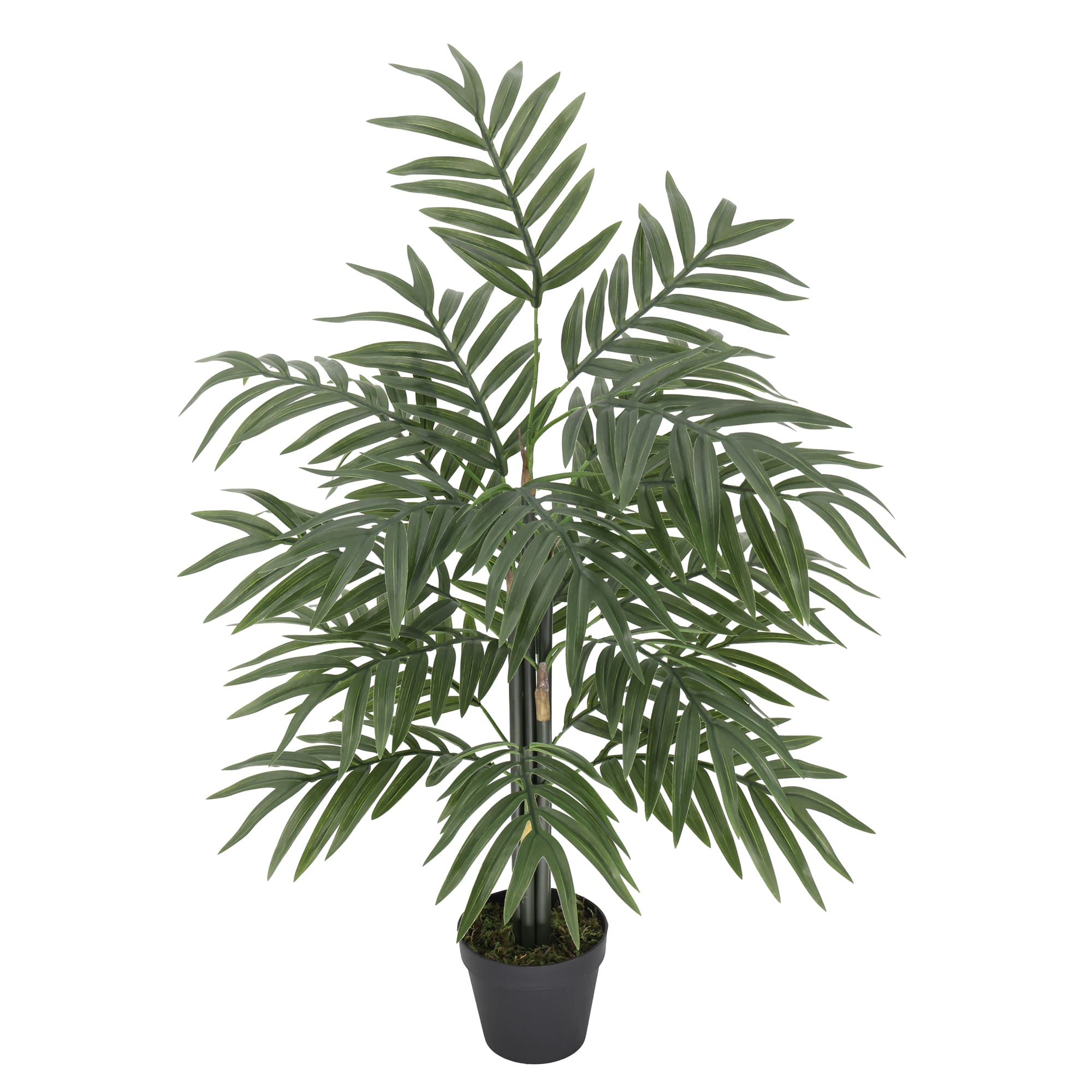Transforma tus espacios interiores con la frescura tropical de nuestro Arbusto Hawaiano. Con una altura de 90 cm, esta planta destaca por su follaje denso y sus hojas matizadas en tonos verde y crema, diseñadas para iluminar habitaciones con poca luz natural.

Es la opción perfecta para quienes buscan una decoración sofisticada, moderna y, sobre todo, libre de cuidados.
